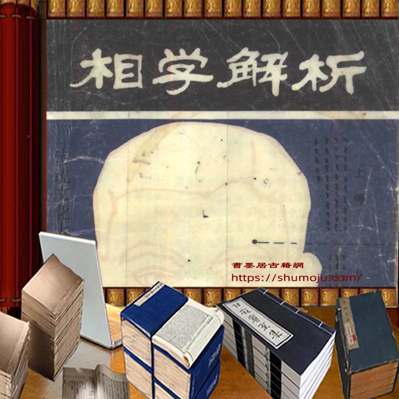 相学解析插图
