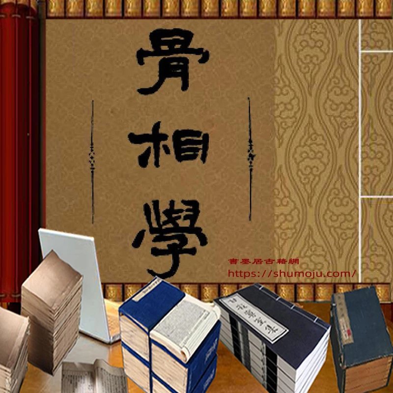 骨相学插图 骨相学插图