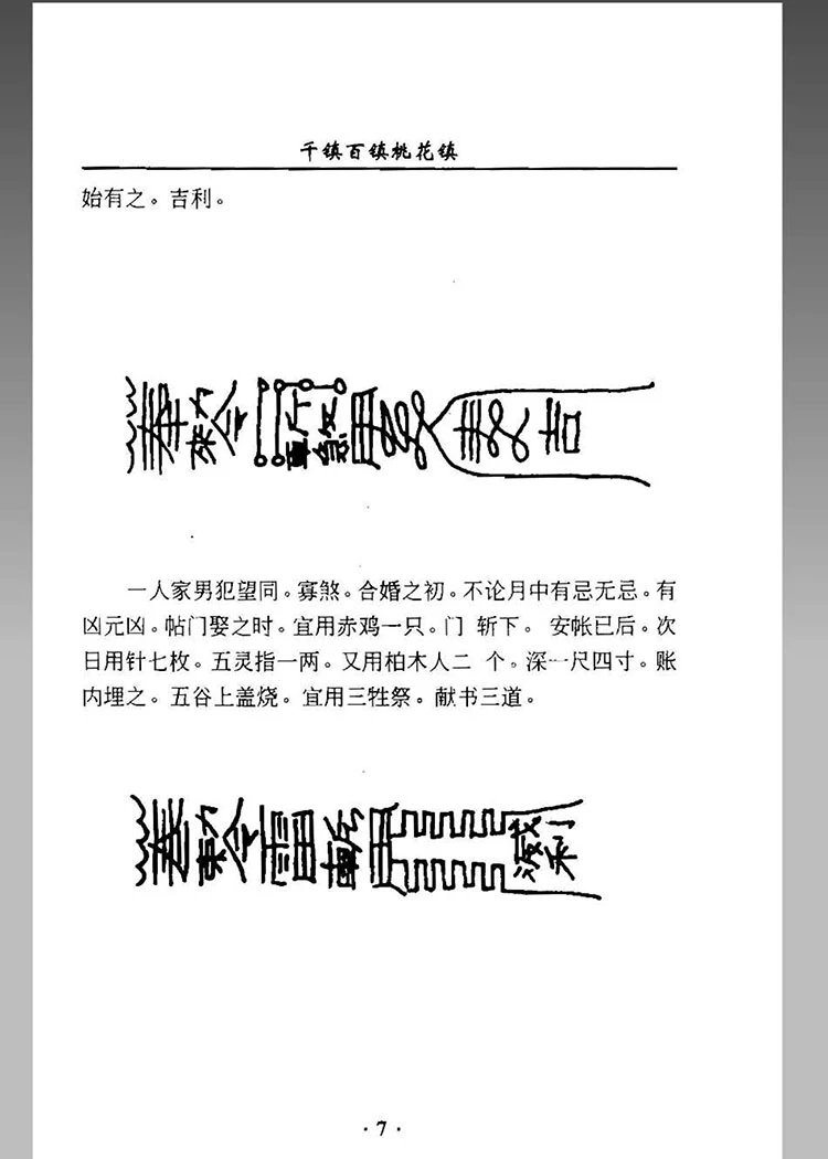 千镇百镇桃花镇插图3