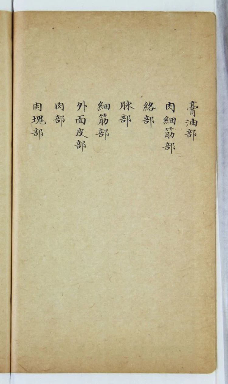 泰西人身说概 人身图说插图2