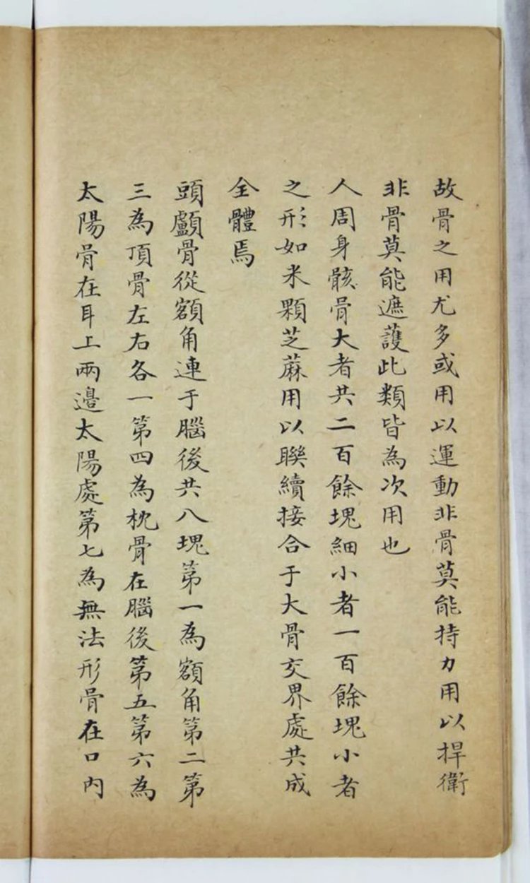泰西人身说概 人身图说插图3