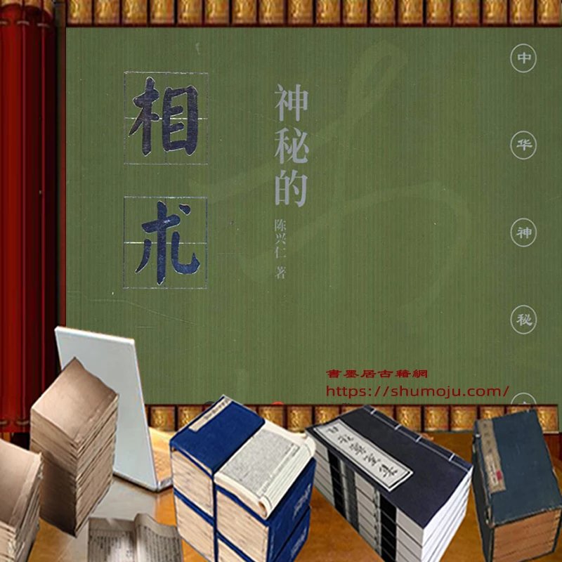 神秘的相术插图