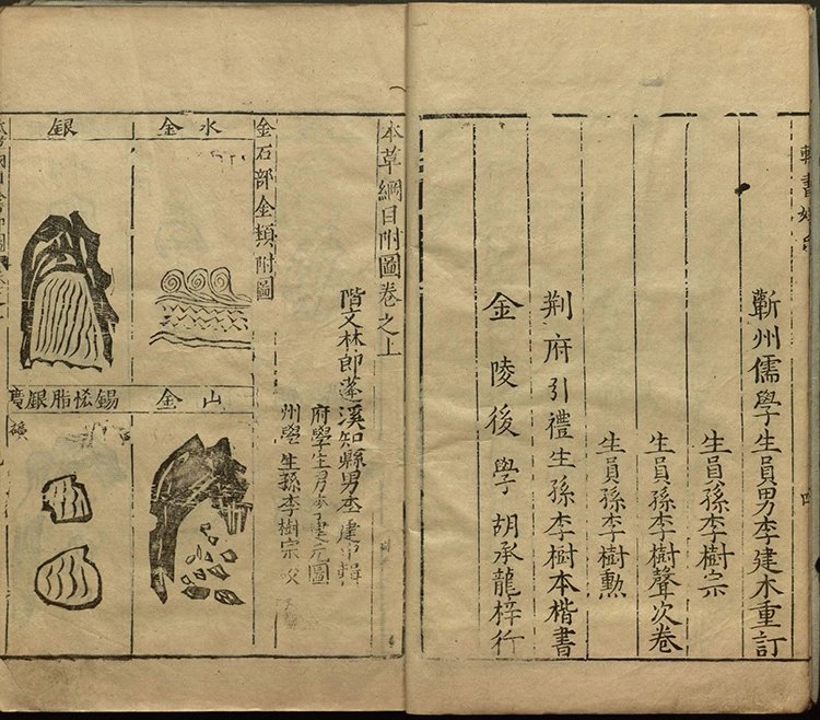 本草纲目插图1