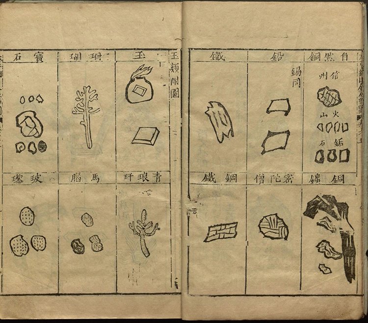 本草纲目插图2