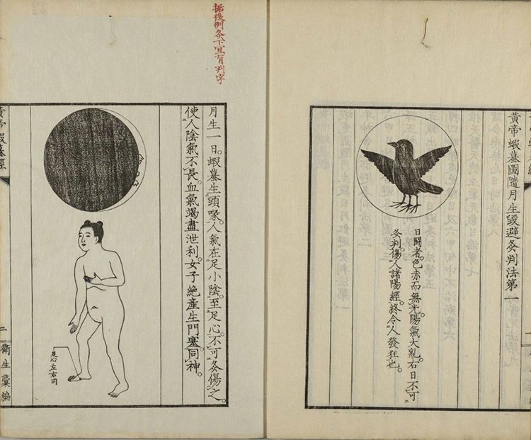 黄帝蝦蟇经 黄帝虾蟆经插图1