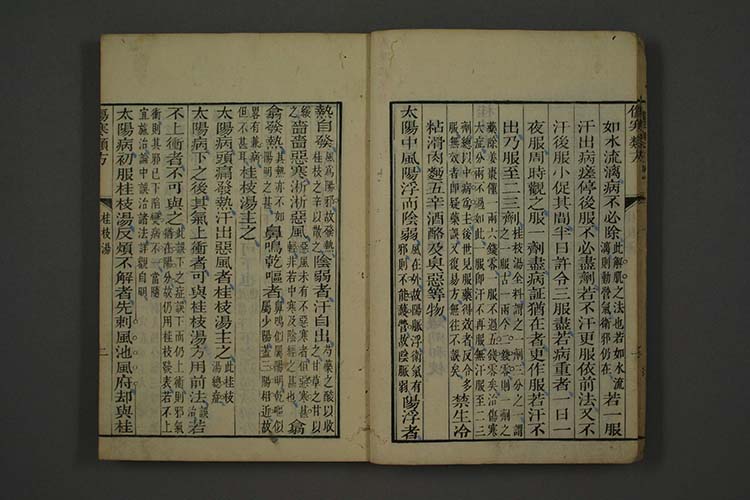 伤寒论类方插图3