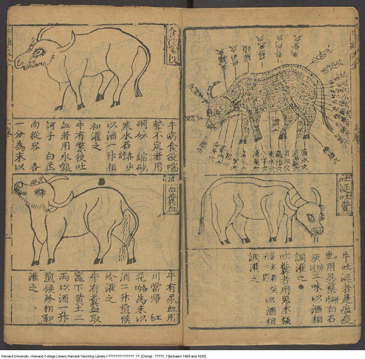 牛经大全插图2