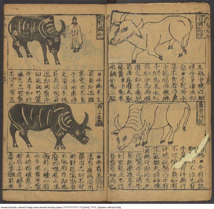 牛经大全插图3