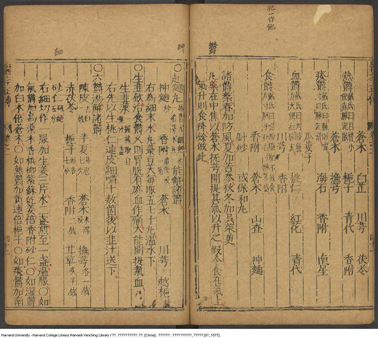 医学正传插图3